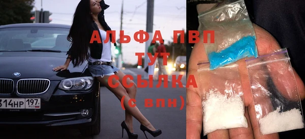 прущие крисы Пересвет