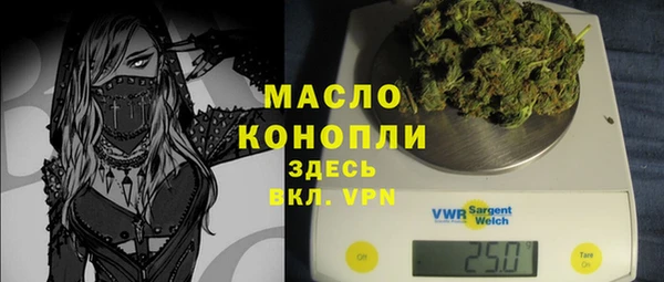 индика Переславль-Залесский