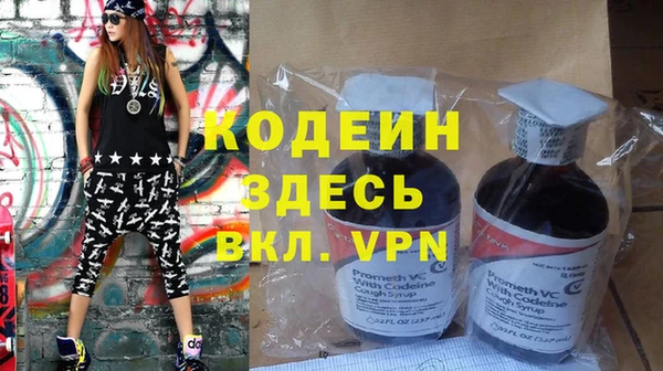 индика Переславль-Залесский
