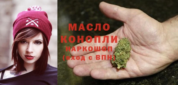 индика Переславль-Залесский
