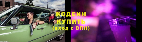 индика Переславль-Залесский