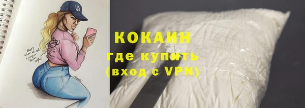 прущие крисы Пересвет
