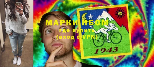 прущие крисы Пересвет