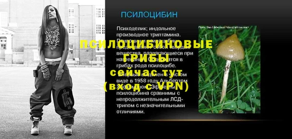 прущие крисы Пересвет