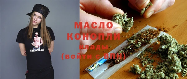 индика Переславль-Залесский